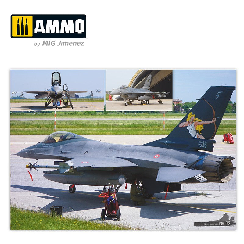 Ammo Mig F-16 Fighting Falcon / VIPER Visual Modelers Guide AMIG6029